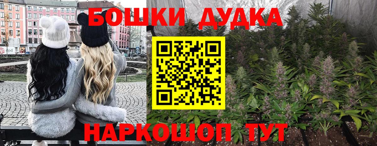 Бошки марихуана план Ачинск